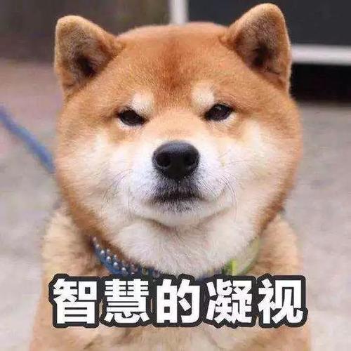 Ϊʲô˵ů²22(ͼ6)
